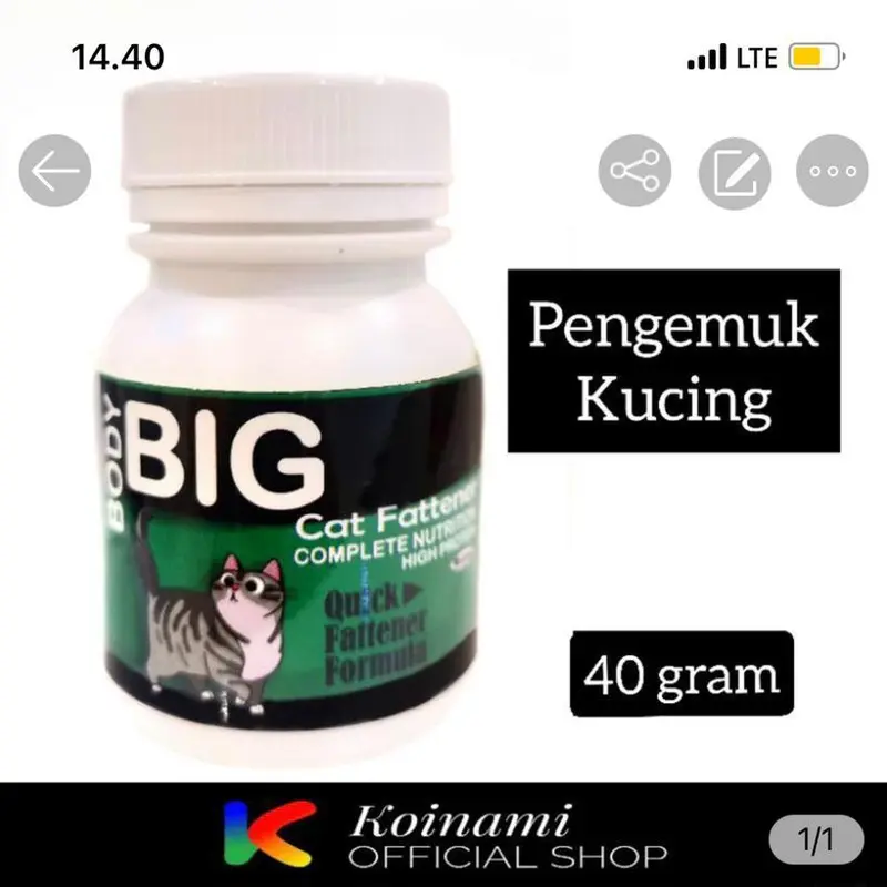BODY BIG