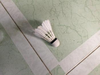 Product Review of Cầu lông đánh vợt chất liệu lông vịt quả cầu lông from ᴵ**i 0