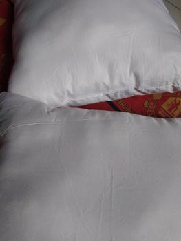 Product Review of Bantal Sofa / Bantal Ukuran 30x30 / 40x40 / 45x45 Warna Putih from M**i 0