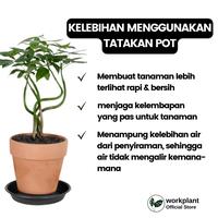 Gambar Workplant - Tatakan Pot GBL Tatakan / Alas Pot Bunga Tanaman Hias Isi 12pcs - Diameter 9,5cm, Hitam dari workplant official Kota Surabaya 3 Tokopedia
