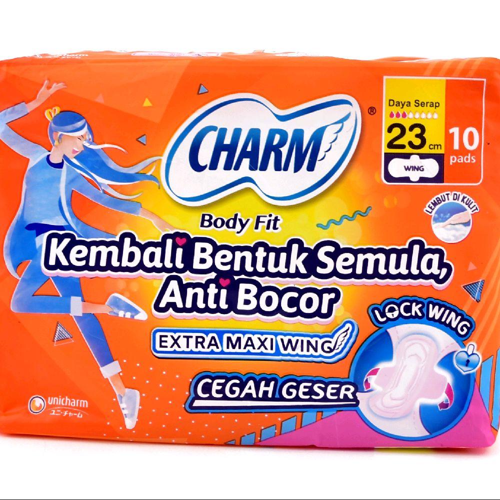 CHARM WING 23CM ISI 10PCS,PERAWATAN KEWANITAAN