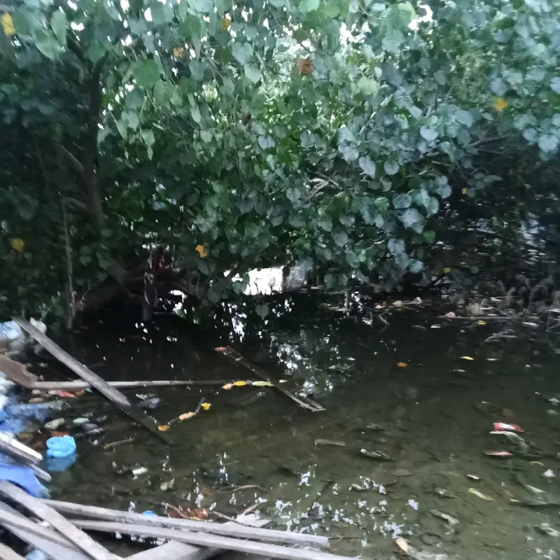 pembuat pengrajin batu akik dan liontin 5