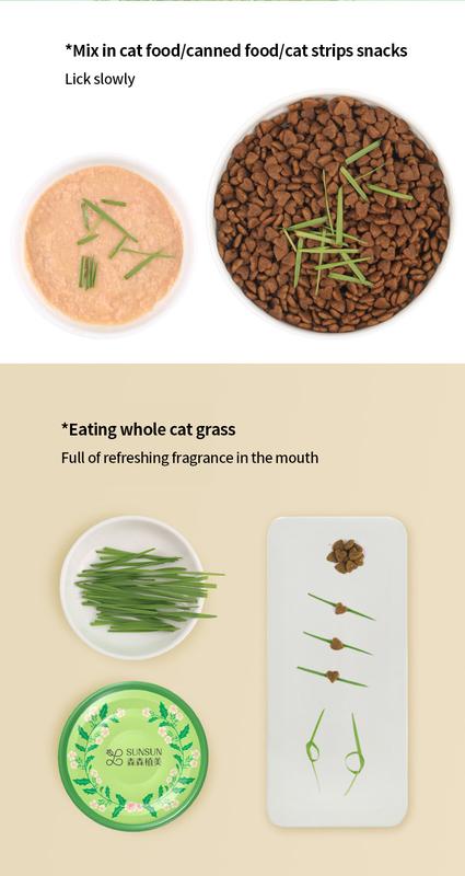 Product Introduction of Natural Soil-less Cat Grass - Promotes Digestive Health, Helps with Hairball Relief, Supplements Cat with Vitamins 20