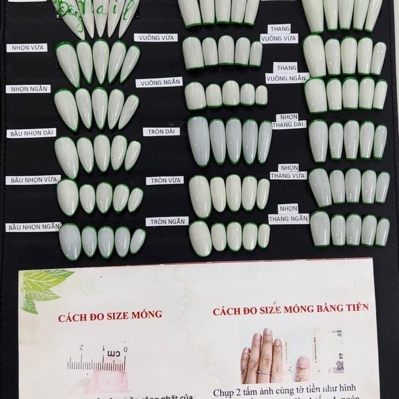 Nail box thiết kế Tay TORĐ @@ 4