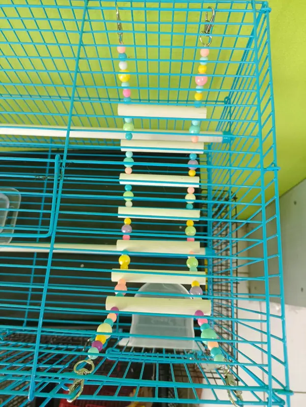 Jembatan Panjatan Hammock Jaring Mainan Hewan Sugar Glider Tupai 3