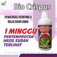 Gambar BIO CRISPUS PENGENDALI DAUN KRITING & GEMINI PADA DAUN dari kampungputraagro Kota Salatiga 1 Tokopedia
