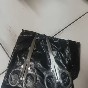 Gunting Stainless Estetik Transparan Gunting Kertas Multipurpose Scissors Scrapbook ATK3015