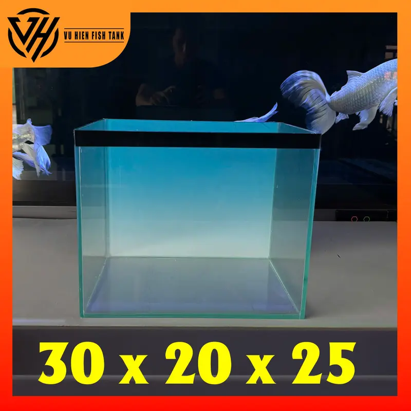 Hồ 30x20x25 bả keo đen tặng tranh BlueSky 4