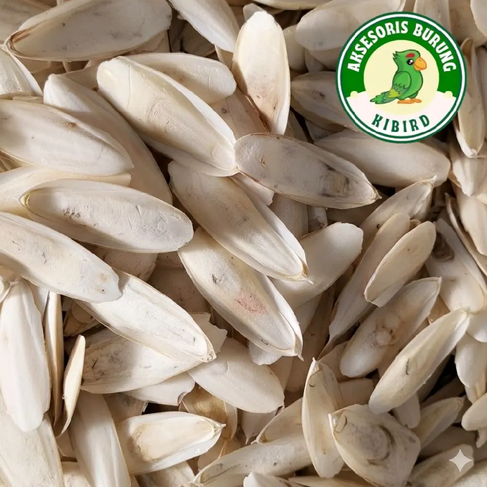 TULANG SOTONG ASINAN BURUNG GRADE A