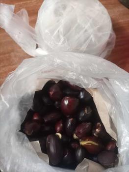 Product Review of 500 gr kabau makanan kering palembang from J**n 0