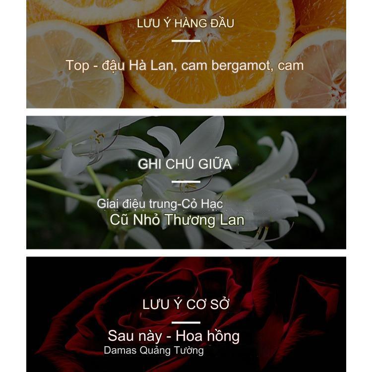 Product Introduction of 【Nước Hoa Sellion】Nước Hoa Nữ, Hương Hoa Và Trái Cây Ngọt Ngào, 1 Miếng, Hương Hoa Hồng Và Trái Cây, Mỹ Phẩm Lễ Hội Âm Nhạc Nữ, Hương Thơm Lâu Dài, Thích Hợp Cho Bạn Gái, 100ml 12