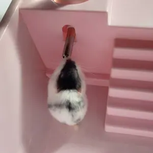 FOCAT Kandang Hamster / Rumah Hamster Sugar Glider F18 Hamster Cage Portable