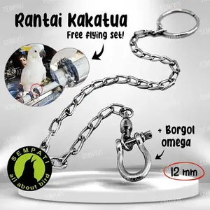 SEMPATI Ring Omega 12 Mm Rantai Kaki Burung Kakatua Bayan African Grey Parrot Cockatoo Caninde Macaw Rantai Training Latih Burung Umbran Free Flying Aktif
