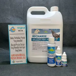 RECHARGE VETAFARM KINERJA BALAP MERPATI MENINGKAT STAMINA PEFORMA NAIK