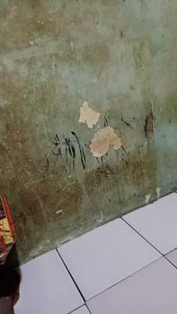 Product Review of MEJA BELAJAR LIPAT Meja Lipat Portable Karakter untuk Belajar Anak - Furniture from c**a 0
