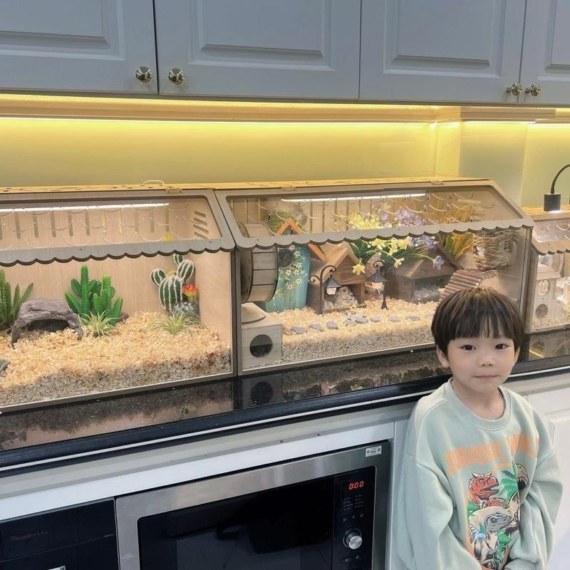 Lồng gỗ mica cho Hamster , Gà rutin , nhín , bò sát ,...
