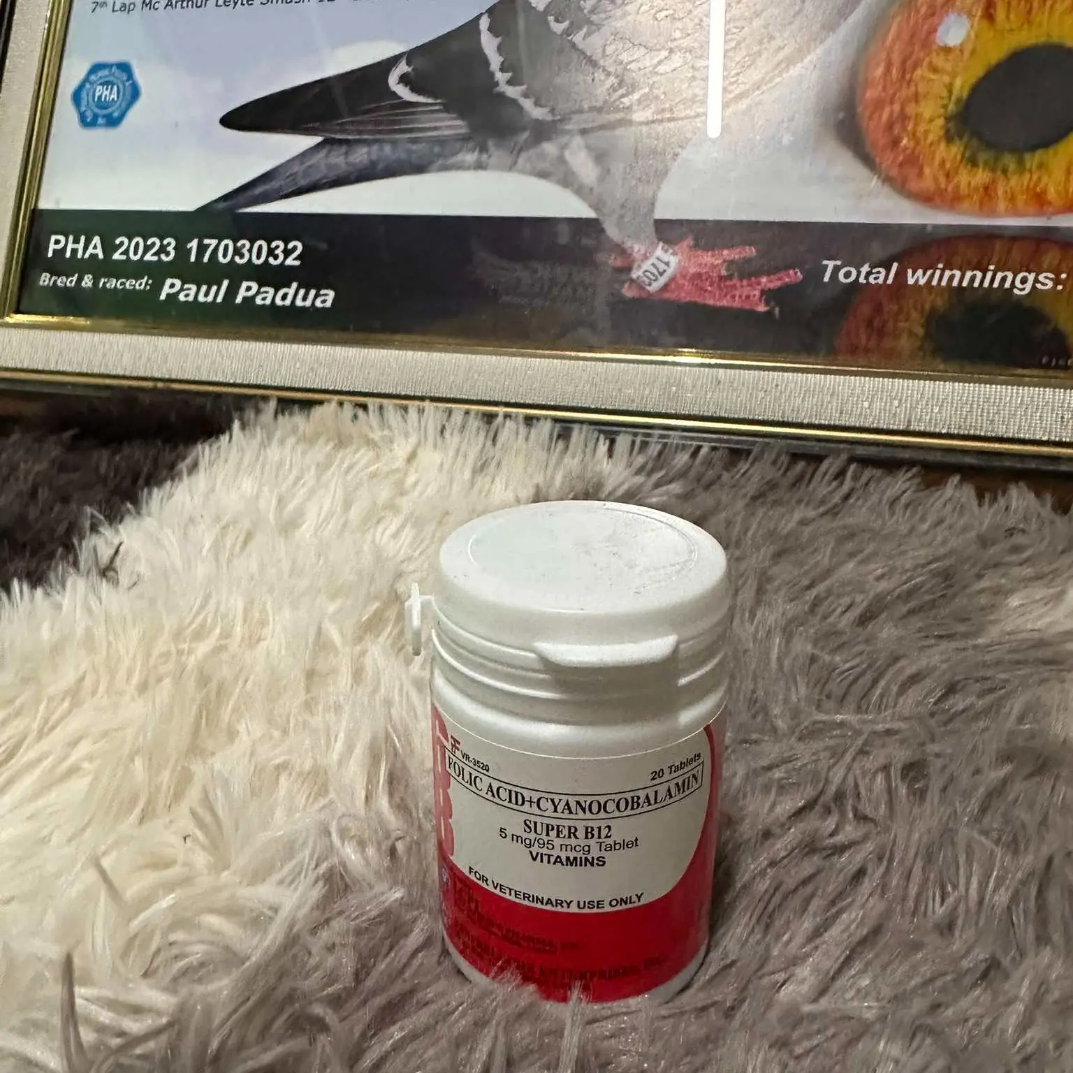 Super B12 (Per Bottle) FOR RACING PIGEONS