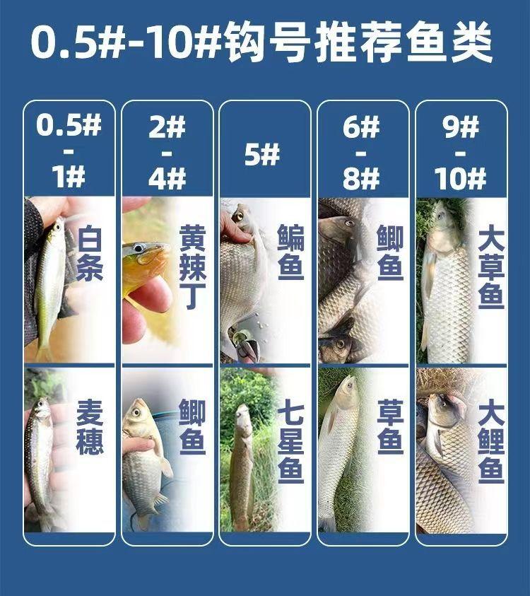 Product Introduction of 12Pcs Pack New High Carbon Steel Fishing Hook Sharp Barbed Automatic Flip Fishhook for Carp Fishing Accessories 13
