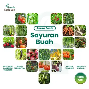 Benih Sayur Sayuran Panen Buah Benih Seribuan Varian Unggulan