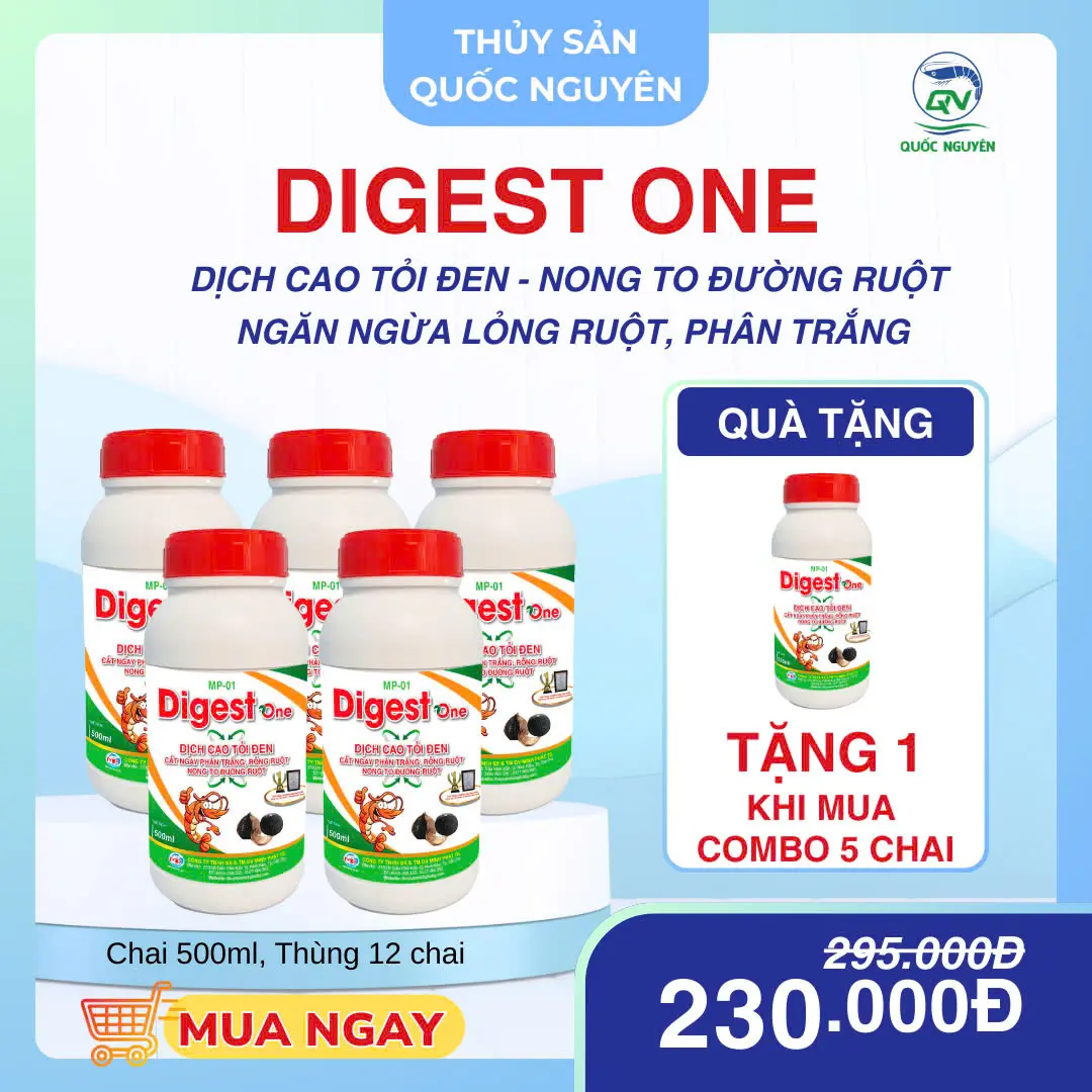 Digest One (DỊCH CAO TỎI ĐEN) - NONG TO ĐƯỜNG RUỘT, NGỪA PHÂN LỎNG, PHÂN NÁT, ĐƯỜNG RUỘT ĐỨT KHÚC