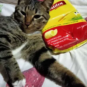 1kg butter margarin delilen ASLI NO KW , rasa dan aroma seperti wisman campuran cake baking roti cookies dan cream Bahan Makanan