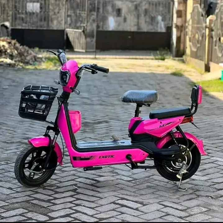 Sepeda Listrik EXOTIC GROZA MX 500 Watt Removable Battery ElectricBike Outdoor