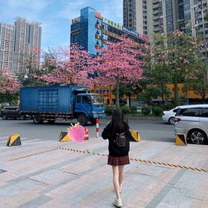 YMC Quality Warehouse