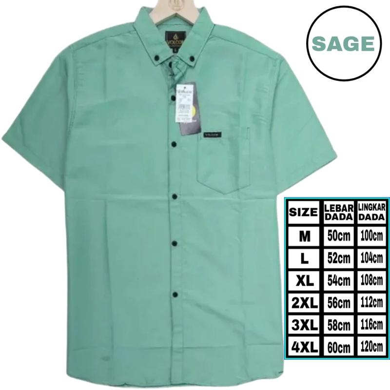 Product Introduction of kemeja pria lengan pendek 100ribu 5pcs kemeja polos lengan pendek dewasa slimfit Katun Casual unisex 9