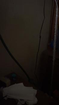 Product Review of [KESEMPATAN MENANG CATOKAN - BUY 2 GET 4] Sunsilk Shampoo Rambut Lembut Soft & Smooth Activ-Infusion Rambut 400ml Isi 2 from M**m 0