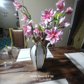 Product Review of Vas Keramik Zeo Luxury Style / Vas Bunga from S**a Y**s 0