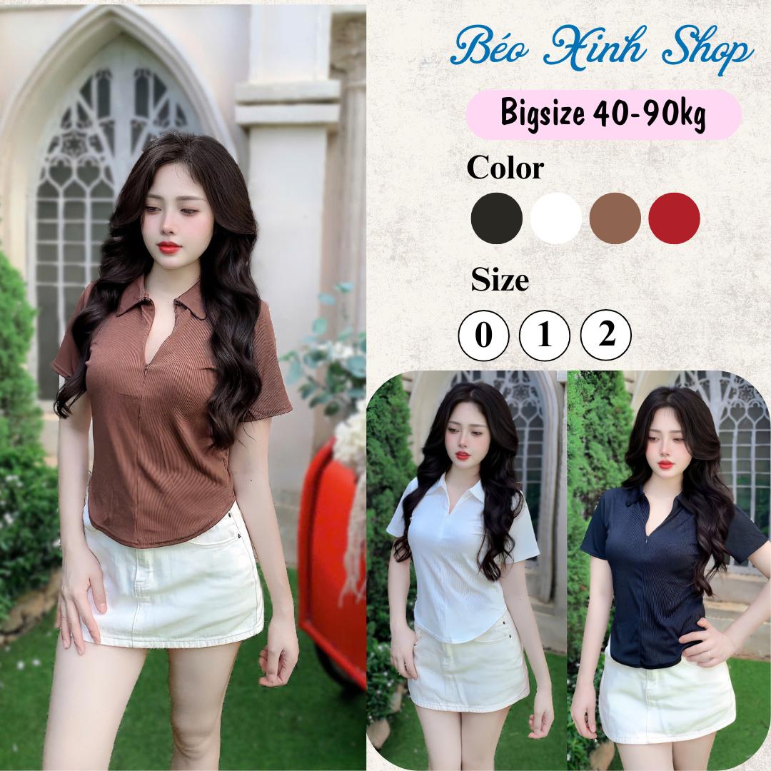 Áo Thun Polo Phối Dây Kéo Vải Thun Gân Tăm 45- 90Kg Bigsize Dễ Thương Top Nữ Women - A.1397