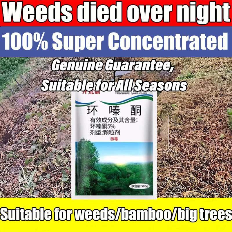 Tree root killer 500g Racun Pokok Paling Kuat Racun rumput paling ...