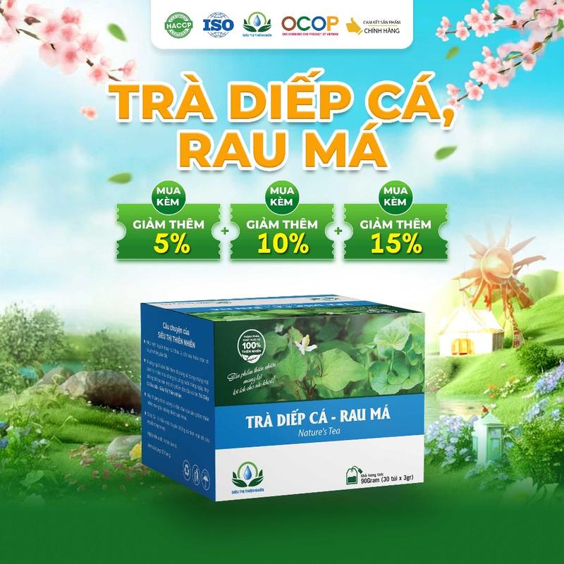 Trà Diếp Cá Rau Má Cỏ Ngọt Thanh Mát Cho Ngày Mới Thư Thái Hộp 30 Túi Lọc 90gram