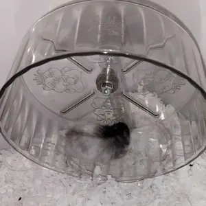 Petcho Roda Lari Hamster 18cm Kincir Running Wheel Akrilik Bening Tinggi Dapat Diatur Ada Stand Dudukan Anti Bising Silent Anti Jepit