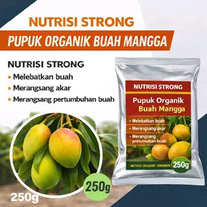 Pupuk Nutrisi Stronk Pelebat Mangga Berbuah Lebat Perangsang Buah Hemat dan Praktis 250gram