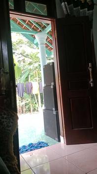 Product Review of Promo Terbatas isi 6 Asyifa Deodorant Tawas Naturals 60ML - Memutihkan Ketiak,tidak Lengket,Menghilangkan Bau Ketiak from A**a A**0 0