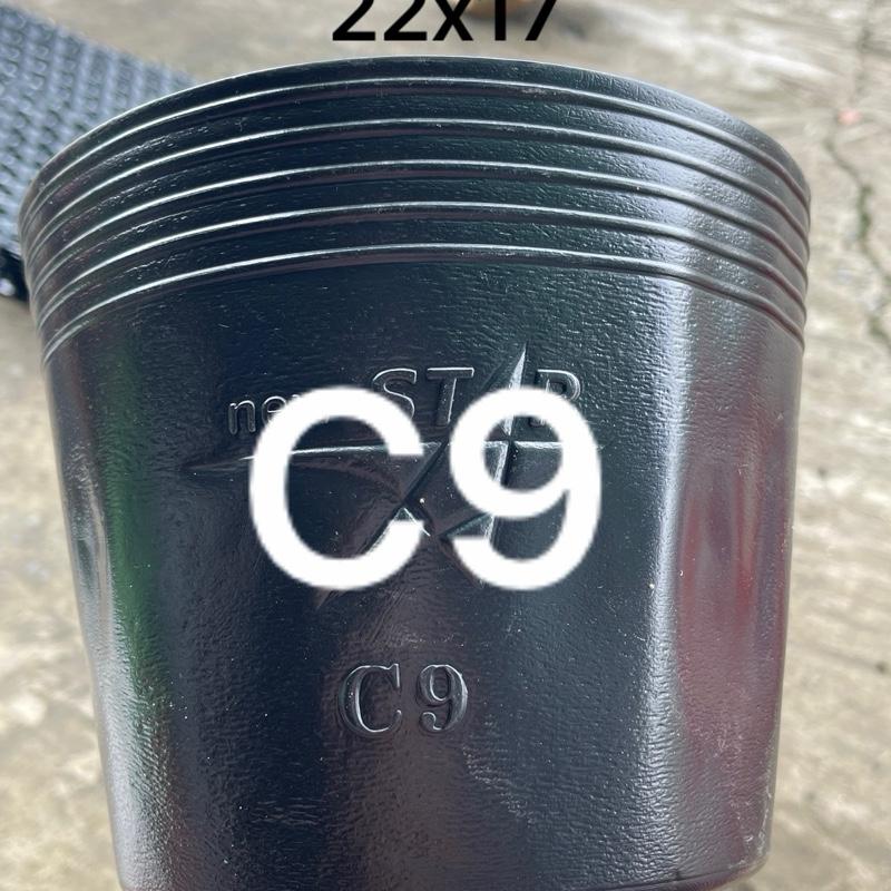  Combo 100 cái Chậu Nhựa Đen C9 Hàng Chuẩn Dẻo Dai 