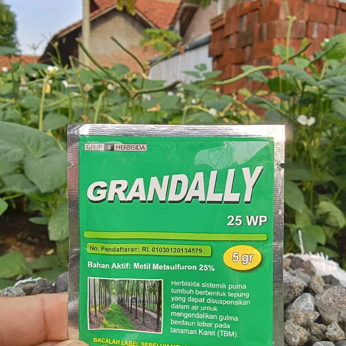 Herbisida Grandally 25 WP