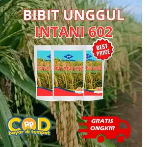 BIBIT PADI INTANI 602 KEMASAN 1 KG Benih Hibrida Potensi Hasil Tinggi 13,9 Ton/ha Tahan Hama