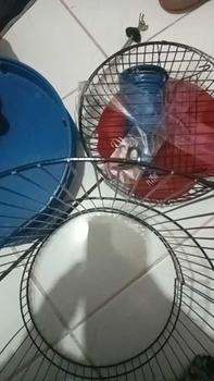 Product Review of SANGKAR PLECI KANDANG BURUNG PLECI KONIN SOGON DIAMETER 23CM HELOPED from F**n H**t 0