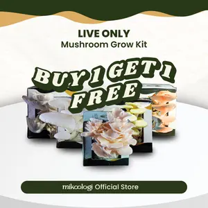 [LIVE ONLY] BUNDLING BUY 1 GET 1 - Mikoologi Mushroom Grow Kit - Souvenir Hadiah Hampers Hiasan Gift Anak Edukasi Eksplorasi Estetika Ruangan Hadiah Berkesan