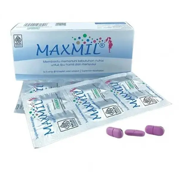 Maxmil Box Membantu memenuhi kebutuhan nutrisi untuk bumil dan busui 2