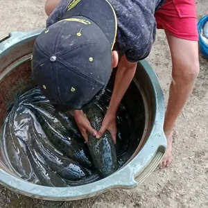 FLW-128000W Inverter Ultrasonik 12V Daya Tinggi 128000W untuk Outdoor dengan Perlindungan Baterai dan Frekuensi Adjustable pbc pac