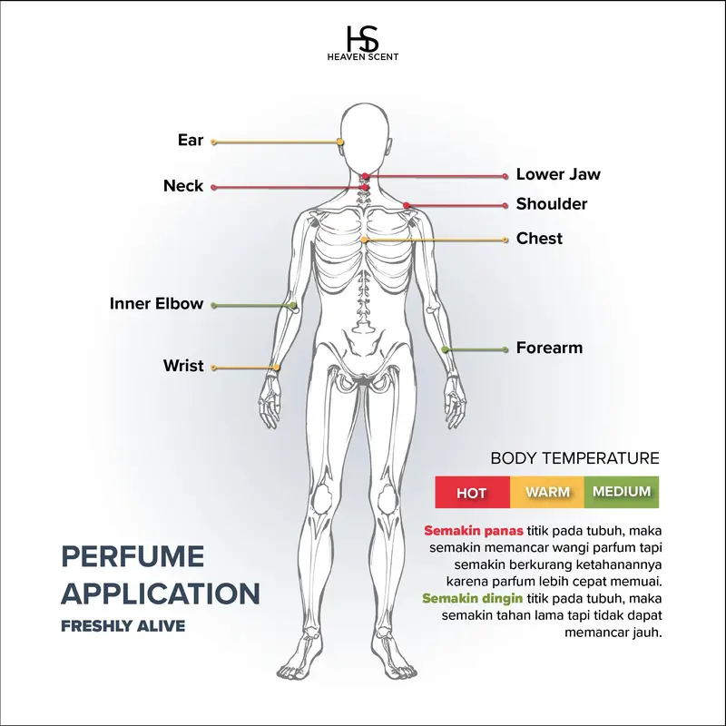 Heaven Scent Solo - Freshly Alive 50ml Parfum Wanita 4