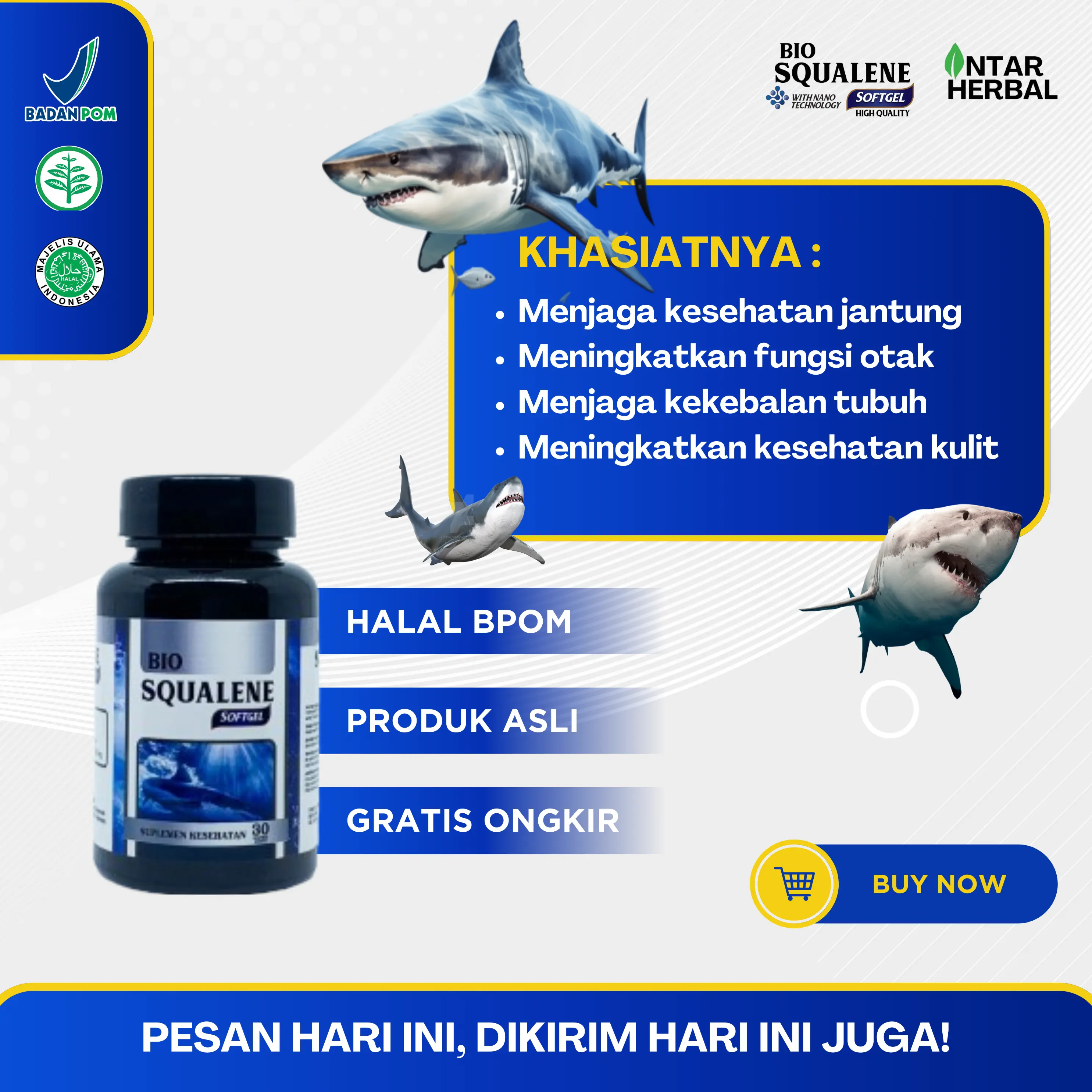 Bio Squalene Softgel Herbal Multikhasiat Ekstrak Minyak Ikan Hiu Asli 100% Original Isi 30 Softgel BPOM