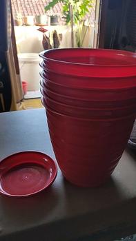 Product Review of (1 pcs) 1 SET POT TIRUS UK 20 CM + TATAKAN (SEPAKET) from K**g T**u 0