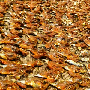 Ikan dendeng ikan kering dendeng ikan laut jawa timur madura
