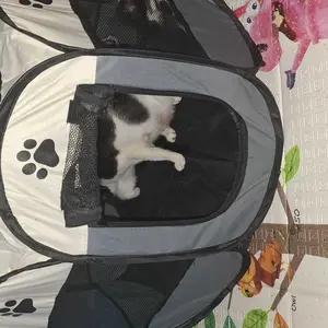 Kandang Bersalin Kucing (Whelping Tent) - Tenda Portable Anti Air dengan 8 Panel & Mat Khusus, Kandang Tertutup untuk Persiapan Melahirkan Anjing/Kucing, Sekaligus Portable Litter Box