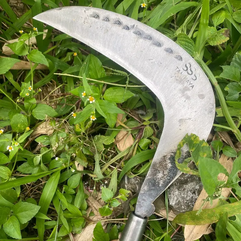 arit sabit rumput baja isen selap super asahan 0