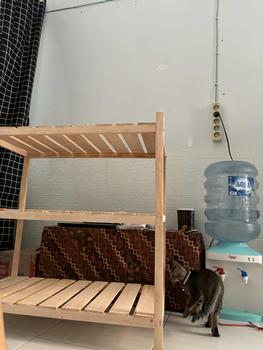 Product Review of Meja Serbaguna Kompor Gas 3 Susun Kayu Minimalis Bunga Dapat Diperpanjang - Furniture from ❀**࿔ 0